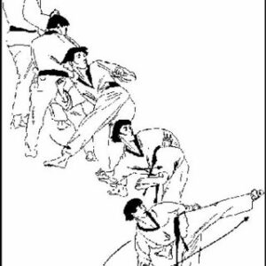 موم دولیو چاگی