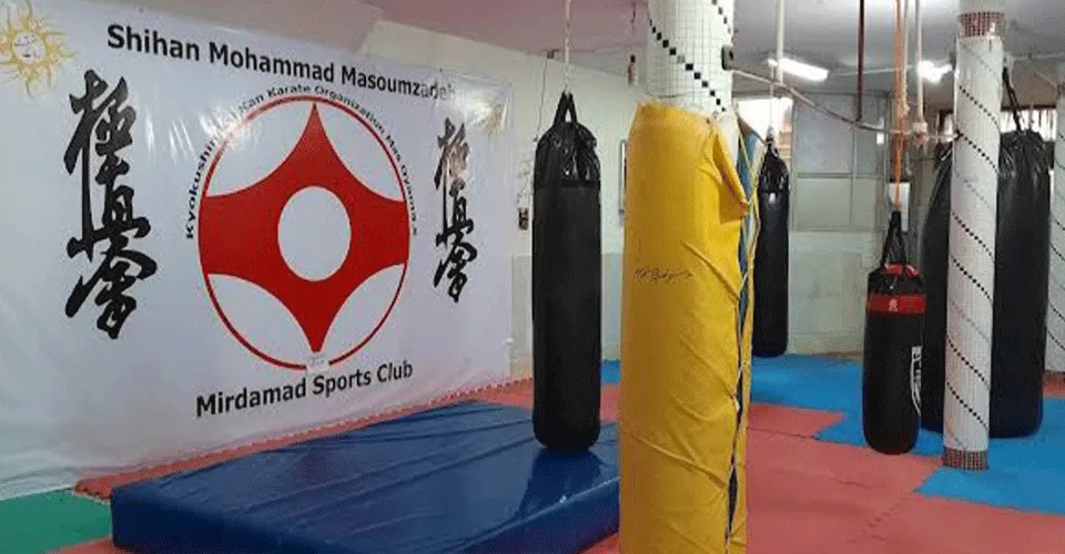 میردامادمشهد