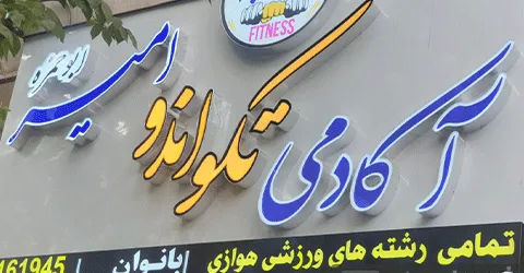آکادمی-تکواندو-امیر