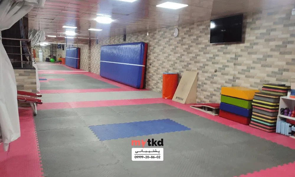 باشگاه تکواندو امیر ابوحمزه تهران