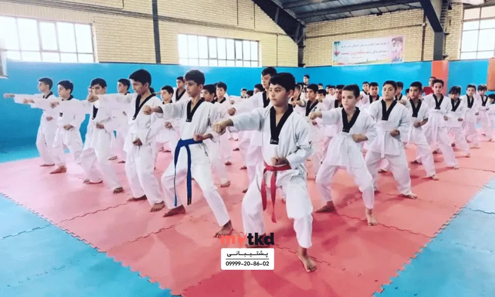 باشگاه تکواندو فشافویه تهران