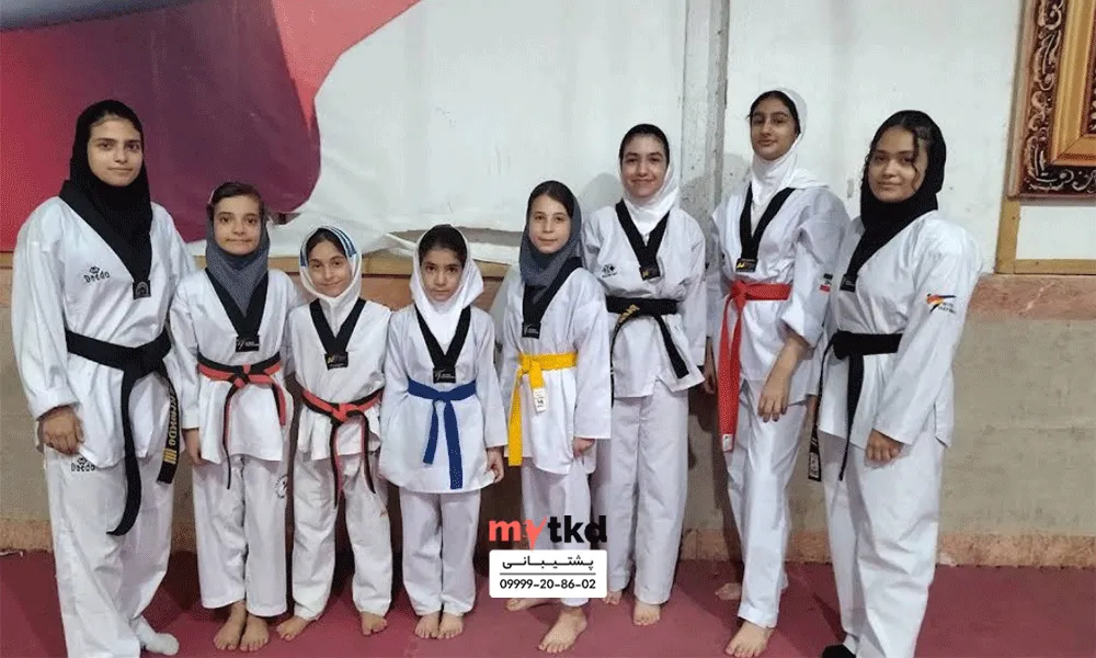 آکادمی تخصصی تکواندو نیلوفر صفریان