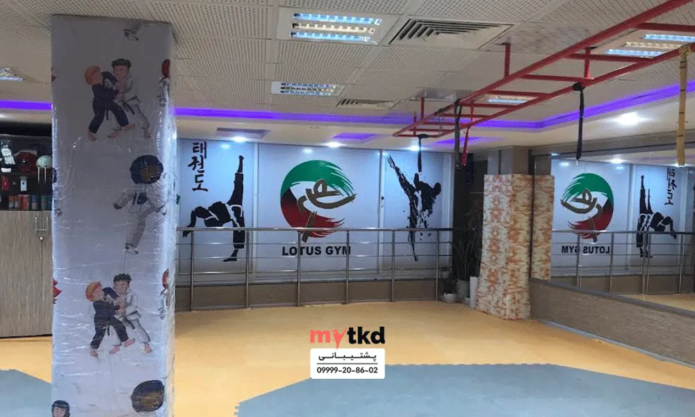 آکادمی تخصصی تکواندو نیلوفر صفریان