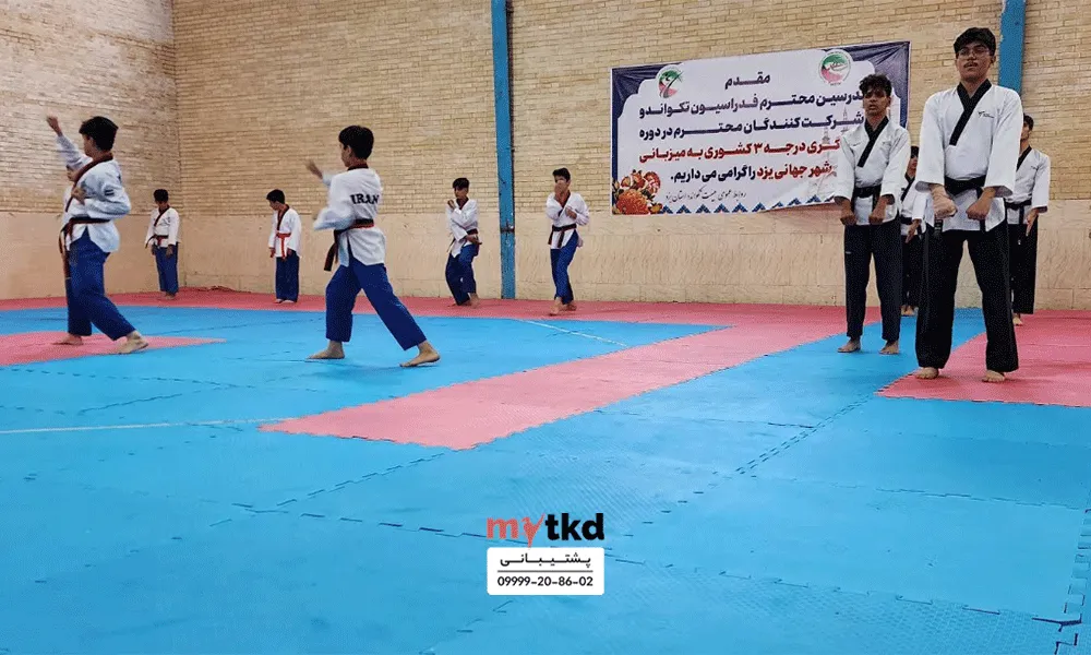 باشگاه تکواندو خانه تکواندو یزد