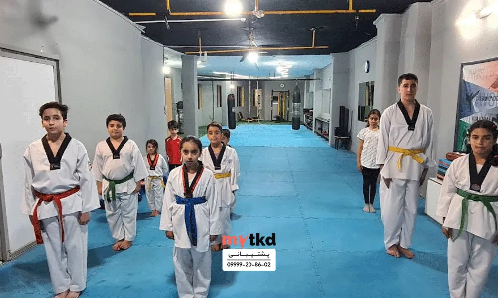 دانیال باوری تهران