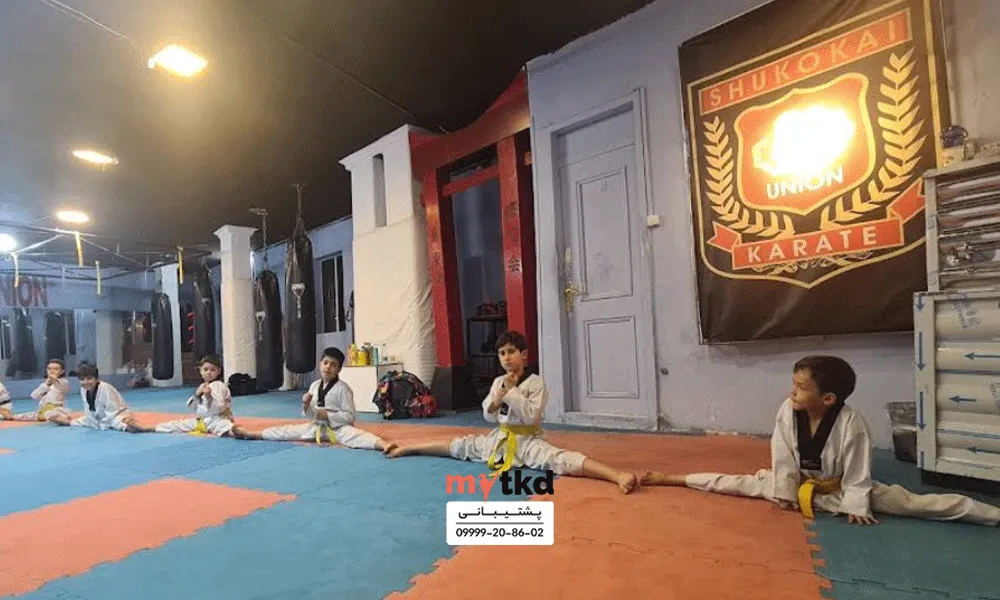 دانیال باوری تهران